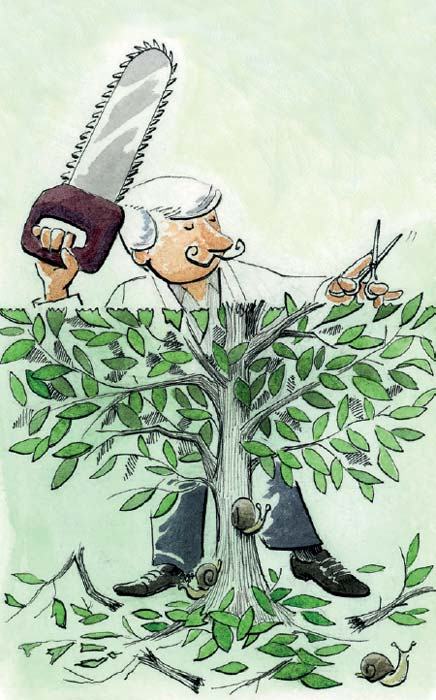 Ilustración: Víctor Solís