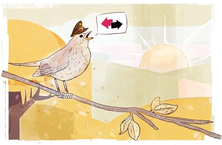 Ilustración: Izak Peón