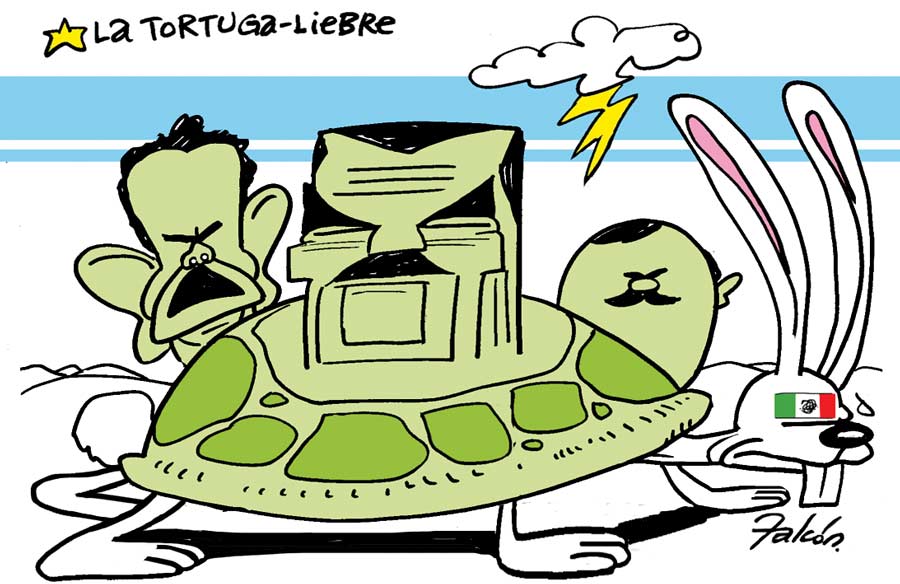 Falcón