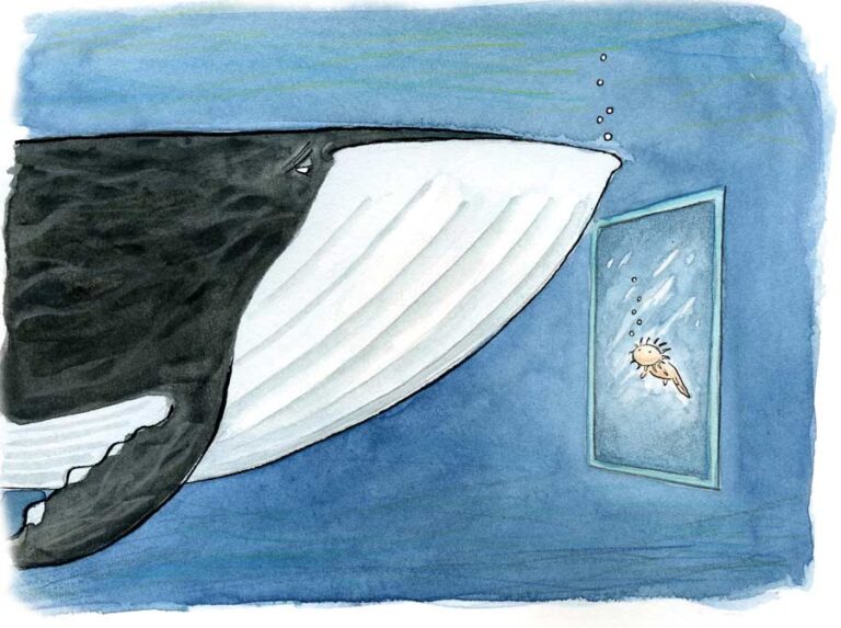 Ilustración: Víctor Solís