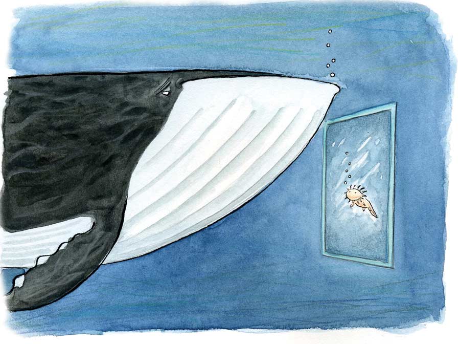 Ilustración: Víctor Solís